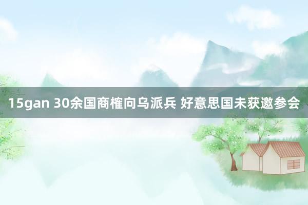 15gan 30余国商榷向乌派兵 好意思国未获邀参会