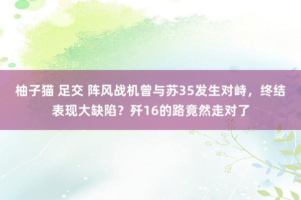 柚子猫 足交 阵风战机曾与苏35发生对峙，终结表现大缺陷？歼16的路竟然走对了