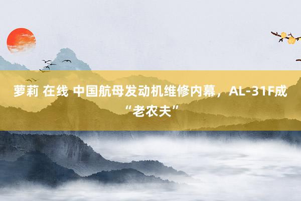 萝莉 在线 中国航母发动机维修内幕，AL-31F成“老农夫”