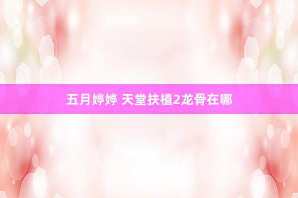 五月婷婷 天堂扶植2龙骨在哪