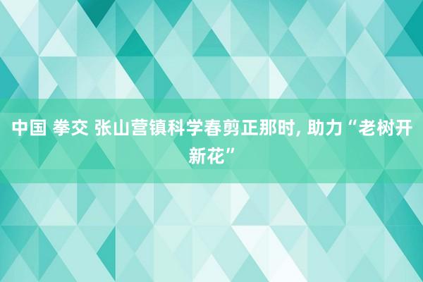 中国 拳交 张山营镇科学春剪正那时， 助力“老树开新花”