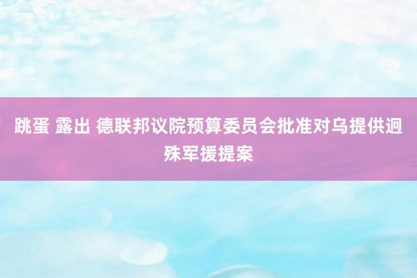 跳蛋 露出 德联邦议院预算委员会批准对乌提供迥殊军援提案