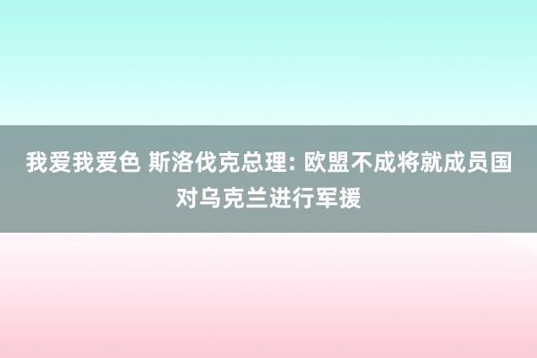 我爱我爱色 斯洛伐克总理: 欧盟不成将就成员国对乌克兰进行军援