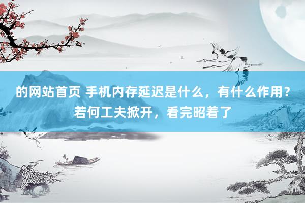的网站首页 手机内存延迟是什么，有什么作用？若何工夫掀开，看完昭着了
