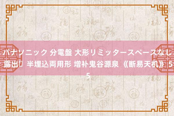 パナソニック 分電盤 大形リミッタースペースなし 露出・半埋込両用形 增补鬼谷源泉 《断易天机》 5