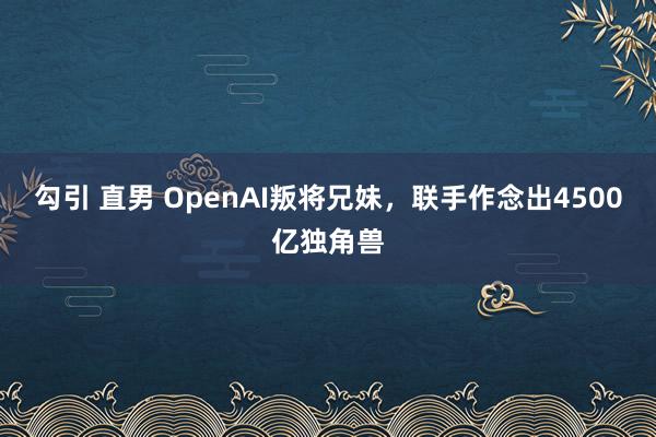 勾引 直男 OpenAI叛将兄妹，联手作念出4500亿独角兽