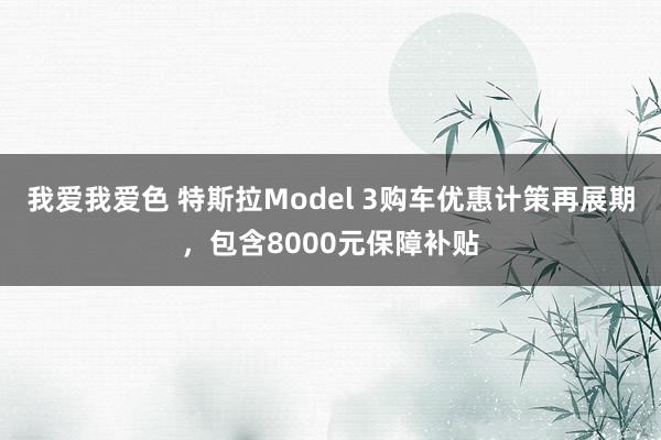 我爱我爱色 特斯拉Model 3购车优惠计策再展期，包含8000元保障补贴